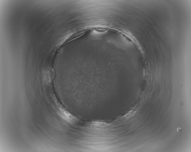 X0000066490393200603201302
