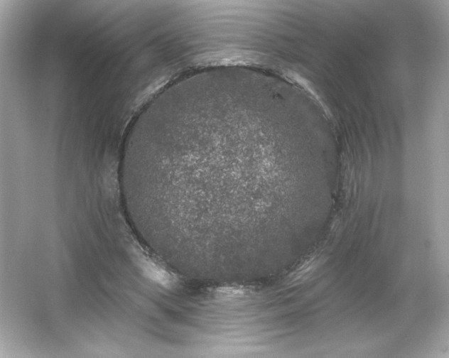 X0000066490394200603201302