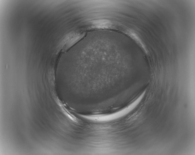 X0000066490397200603201302