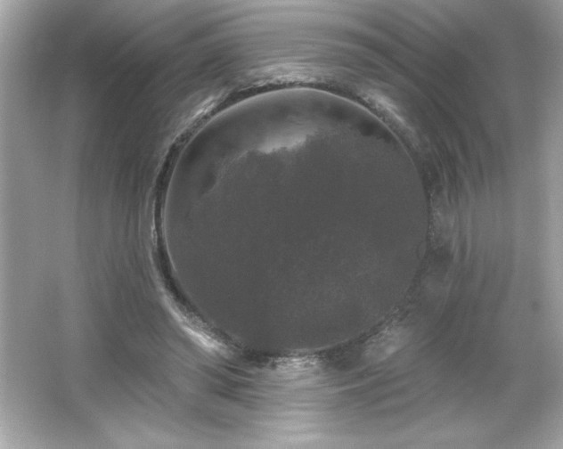 X0000066490398200603201302