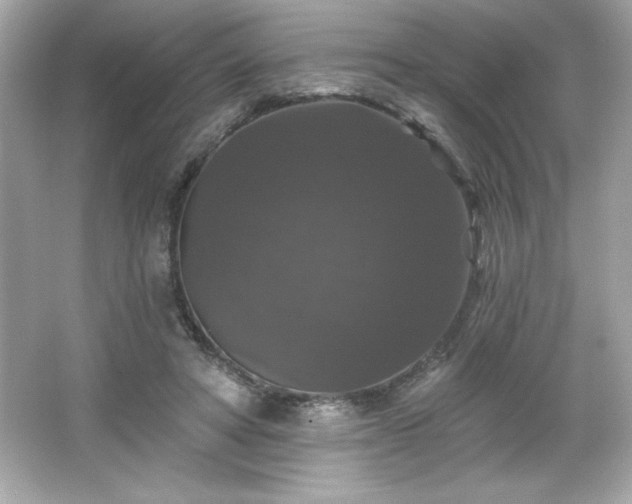 X0000066490402200603201302
