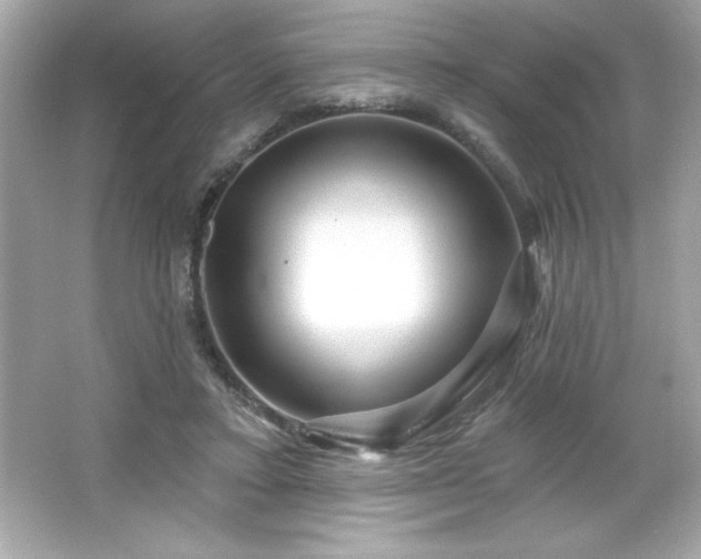 X0000066490403200603201302
