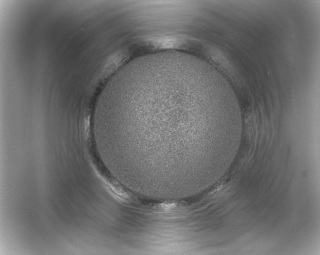 X0000066490406200603201302