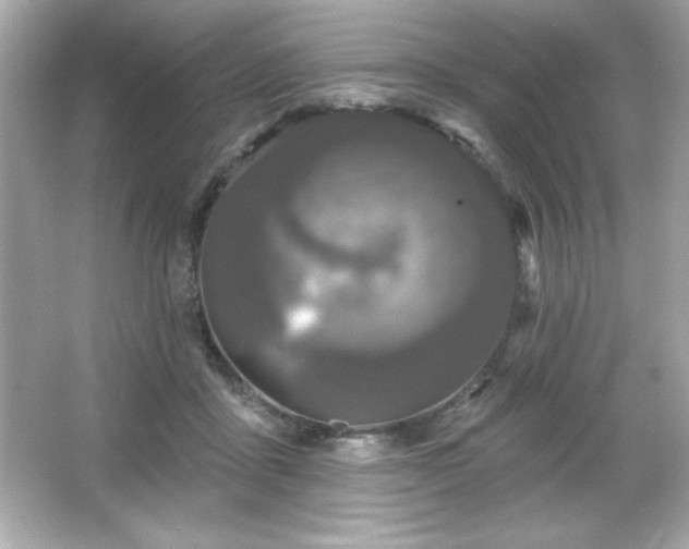 X0000066490411200603201302