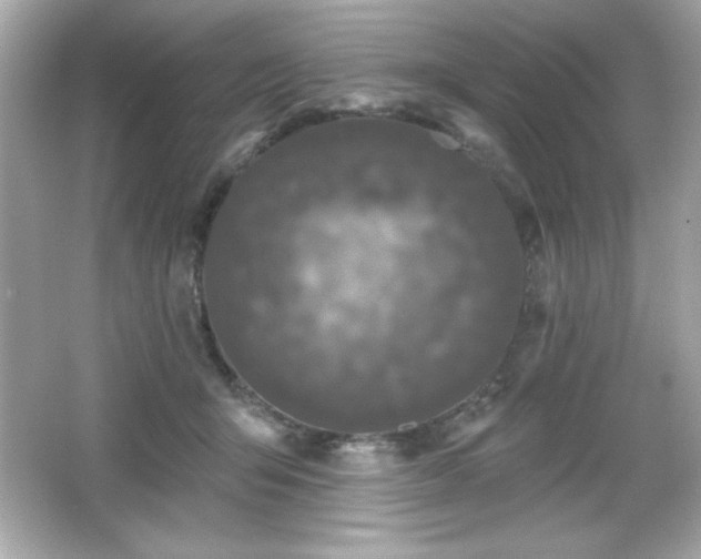 X0000066490415200603201302