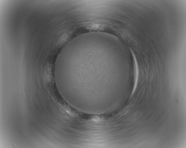 X0000066490416200603201302