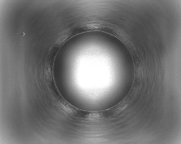 X0000066490418200603201302