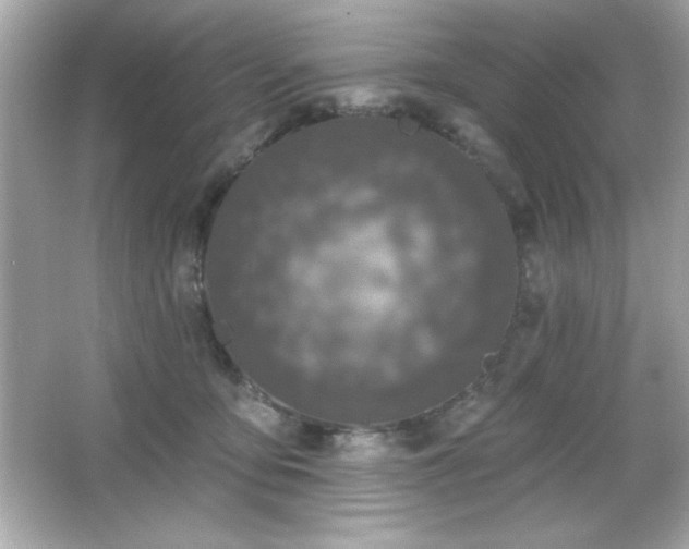 X0000066490419200603201302