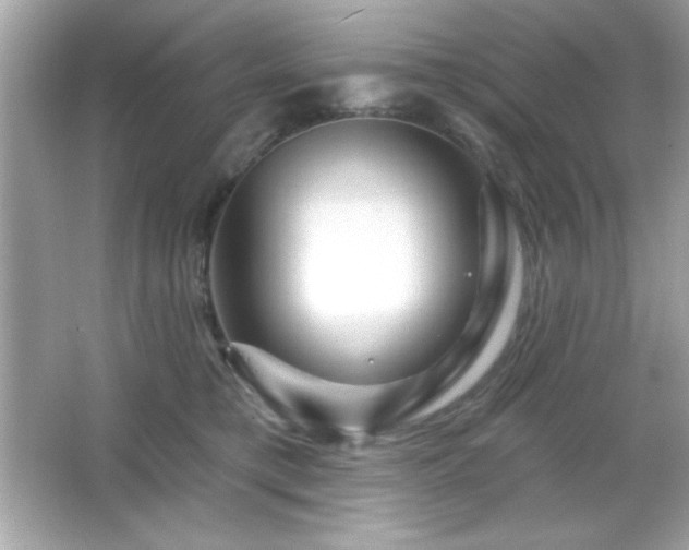 X0000066490421200603201302