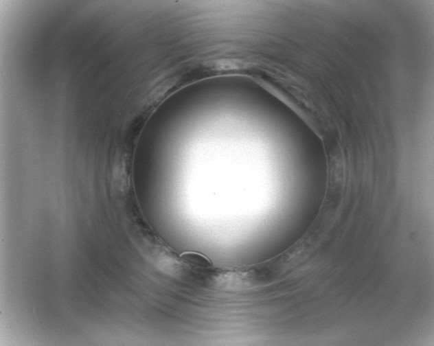 X0000066490422200603201302