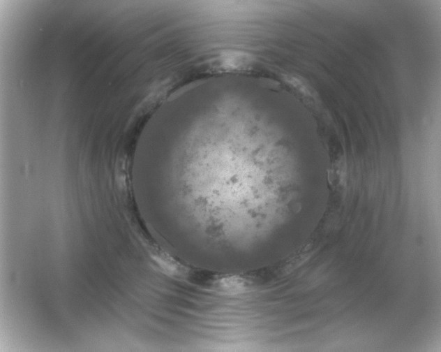 X0000066490423200603201302