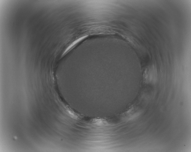 X0000066490424200603201302