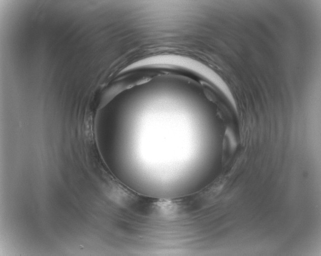 X0000066490425200603201302