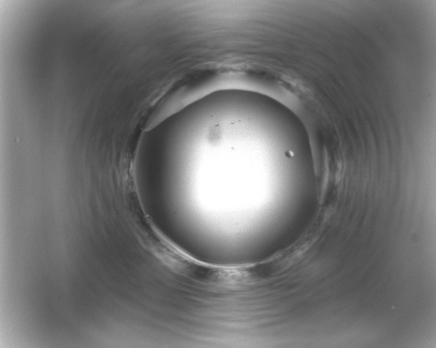 X0000066490429200603201302