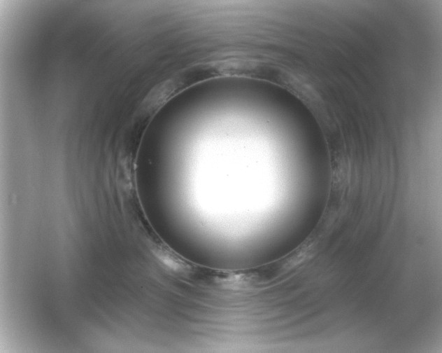 X0000066490430200603201302