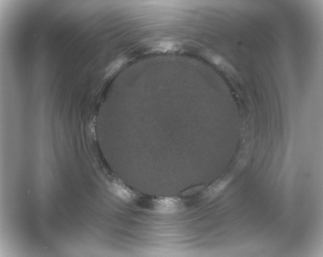 X0000066490432200603201302