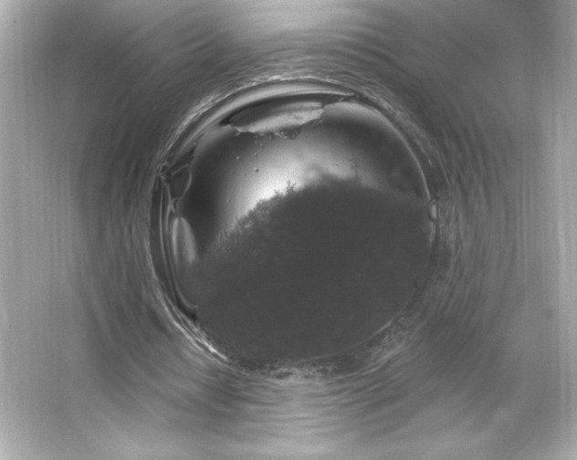 X0000066490434200603201301