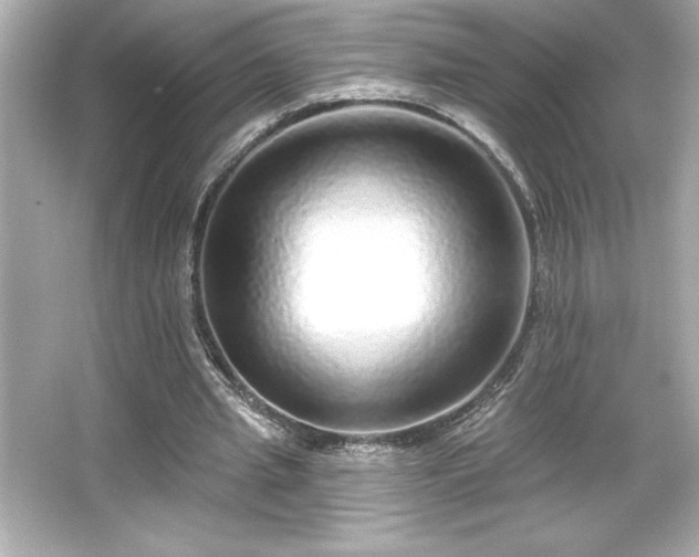 X0000066490437200603201301