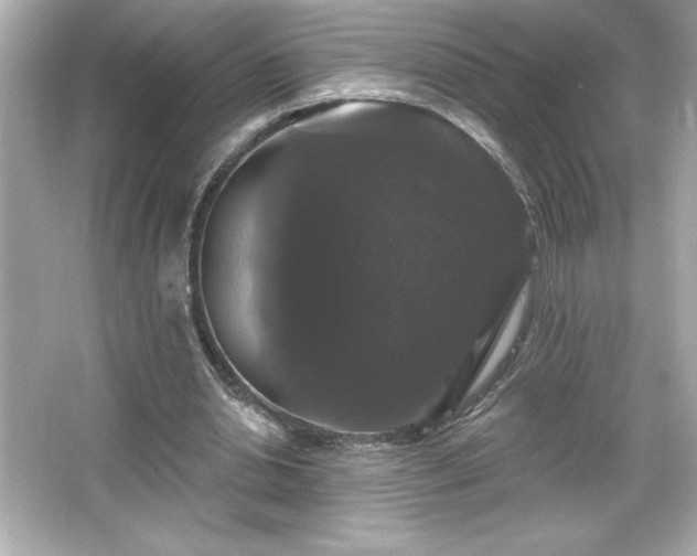 X0000066490438200603201301