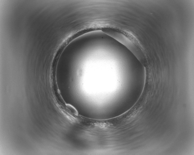X0000066490439200603201301