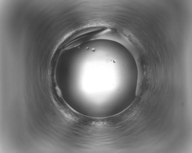X0000066490440200603201301