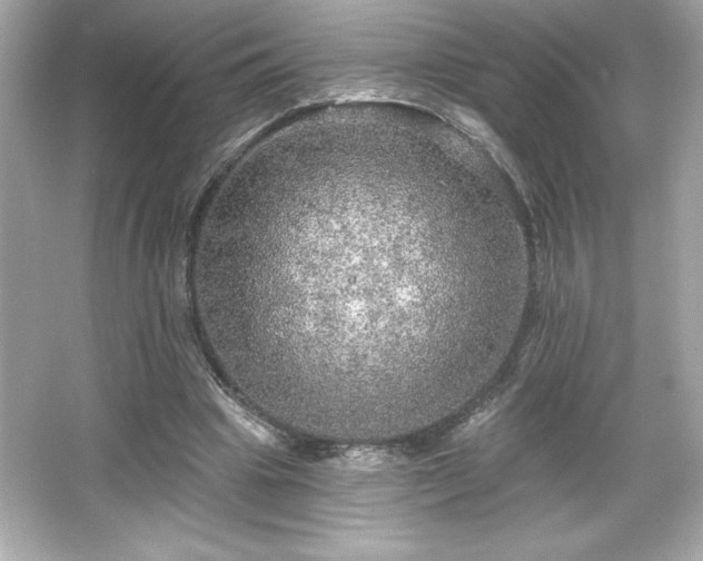X0000066490441200603201301