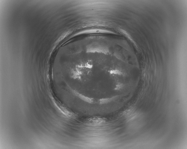 X0000066490443200603201301