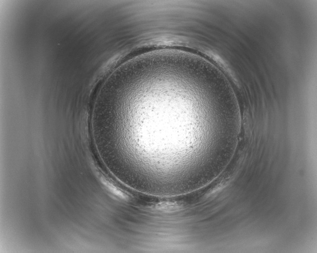 X0000066490445200603201301