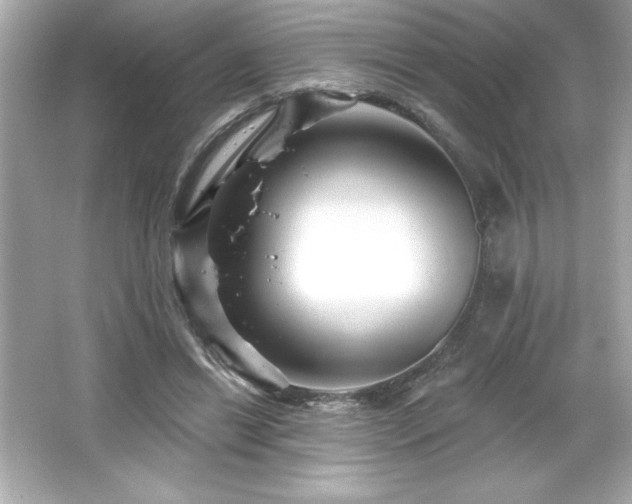 X0000066490446200603201301