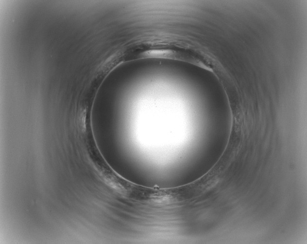 X0000066490454200603201301