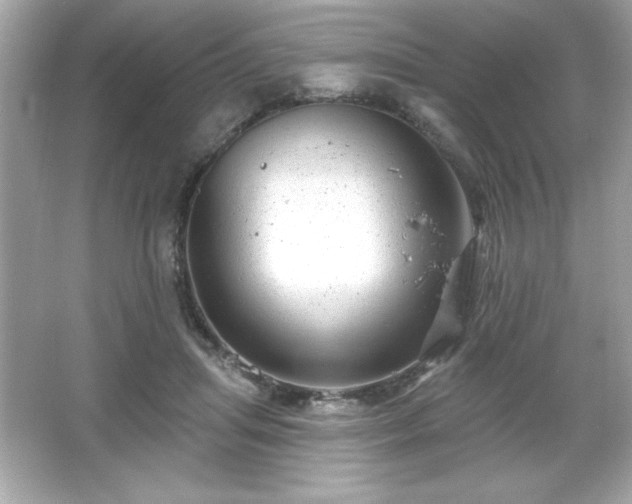 X0000066490455200603201301