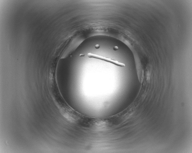 X0000066490456200603201301