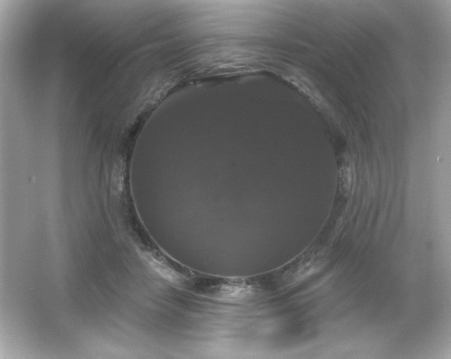 X0000066490458200603201301