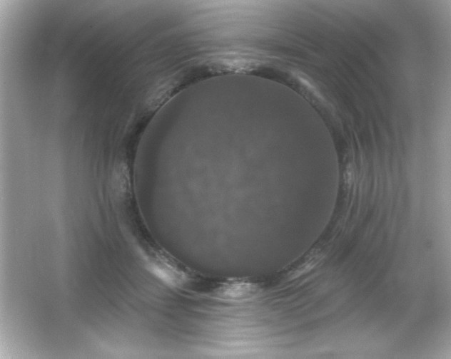 X0000066490459200603201301