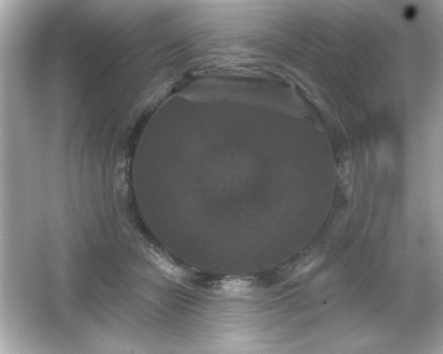 X0000066490462200603201301