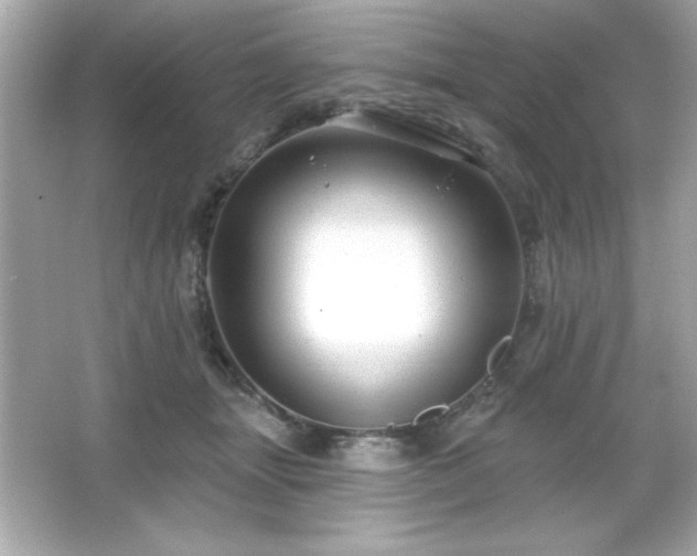 X0000066490463200603201301