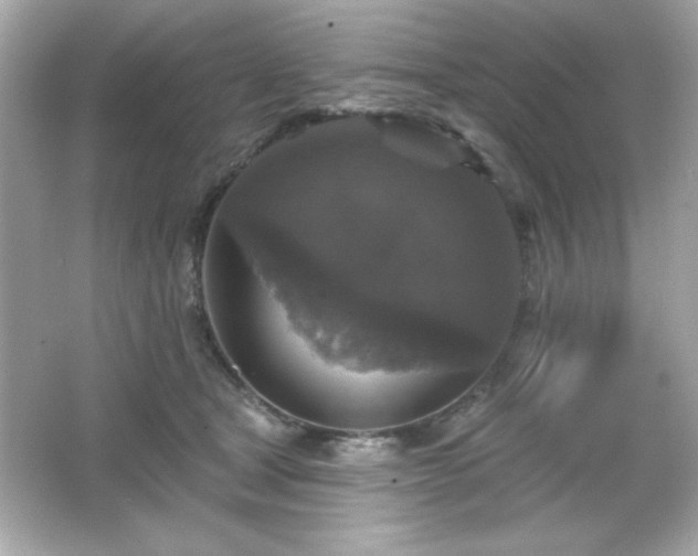 X0000066490465200603201301