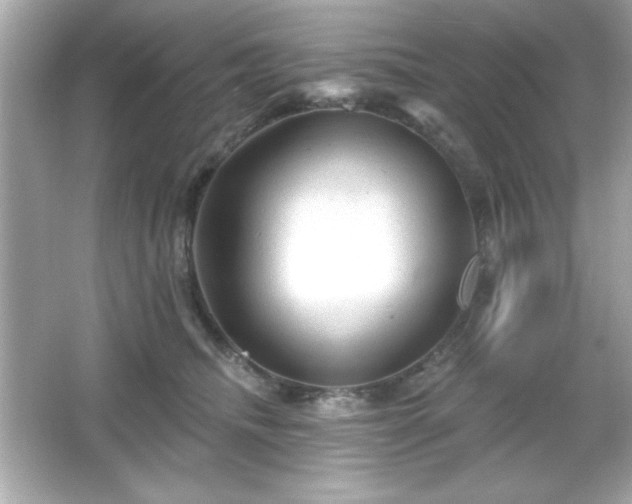 X0000066490468200603201301