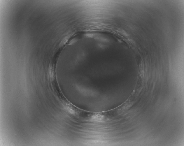 X0000066490471200603201301