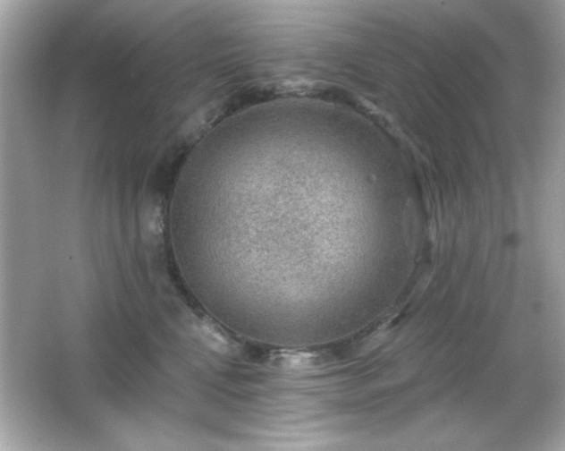 X0000066490472200603201301