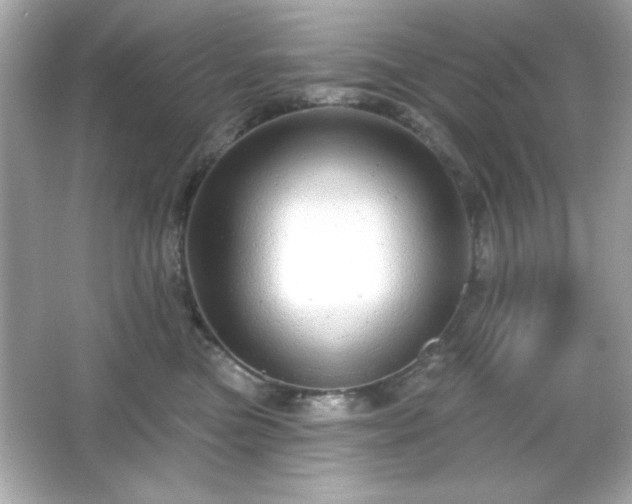 X0000066490473200603201302