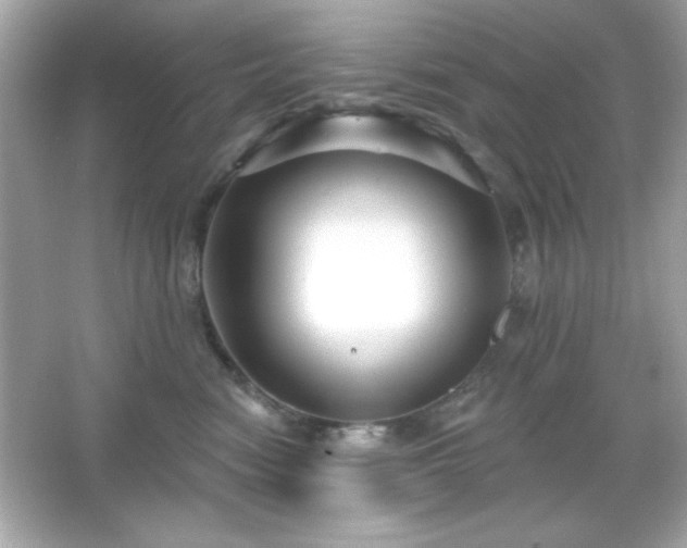 X0000066490474200603201302