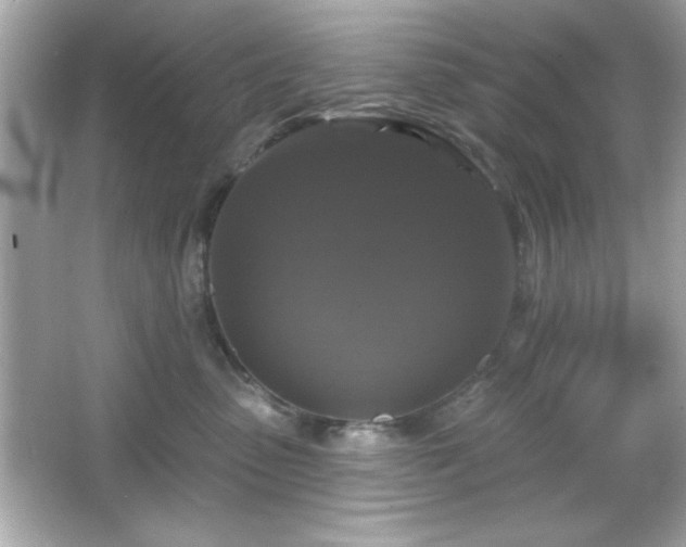 X0000066490475200603201302