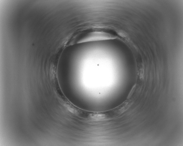 X0000066490476200603201302