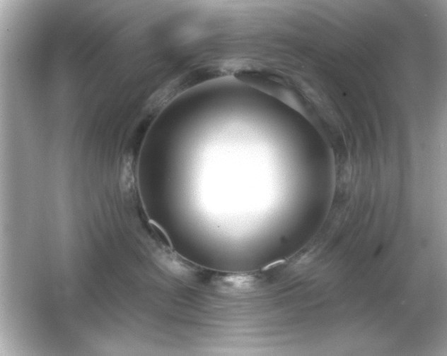 X0000066490478200603201302