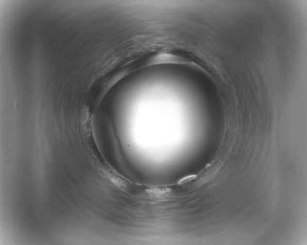 X0000066490480200603201302