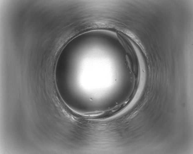 X0000066490481200603201301