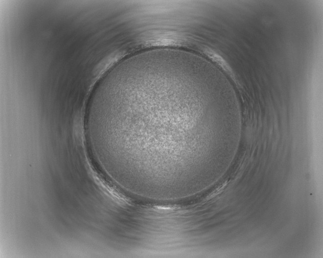 X0000066490482200603201301