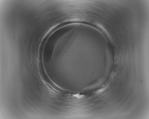 X0000066490484200603201301