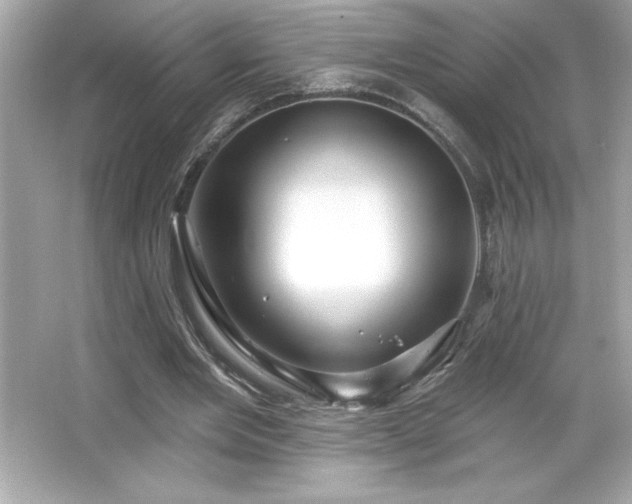 X0000066490485200603201301
